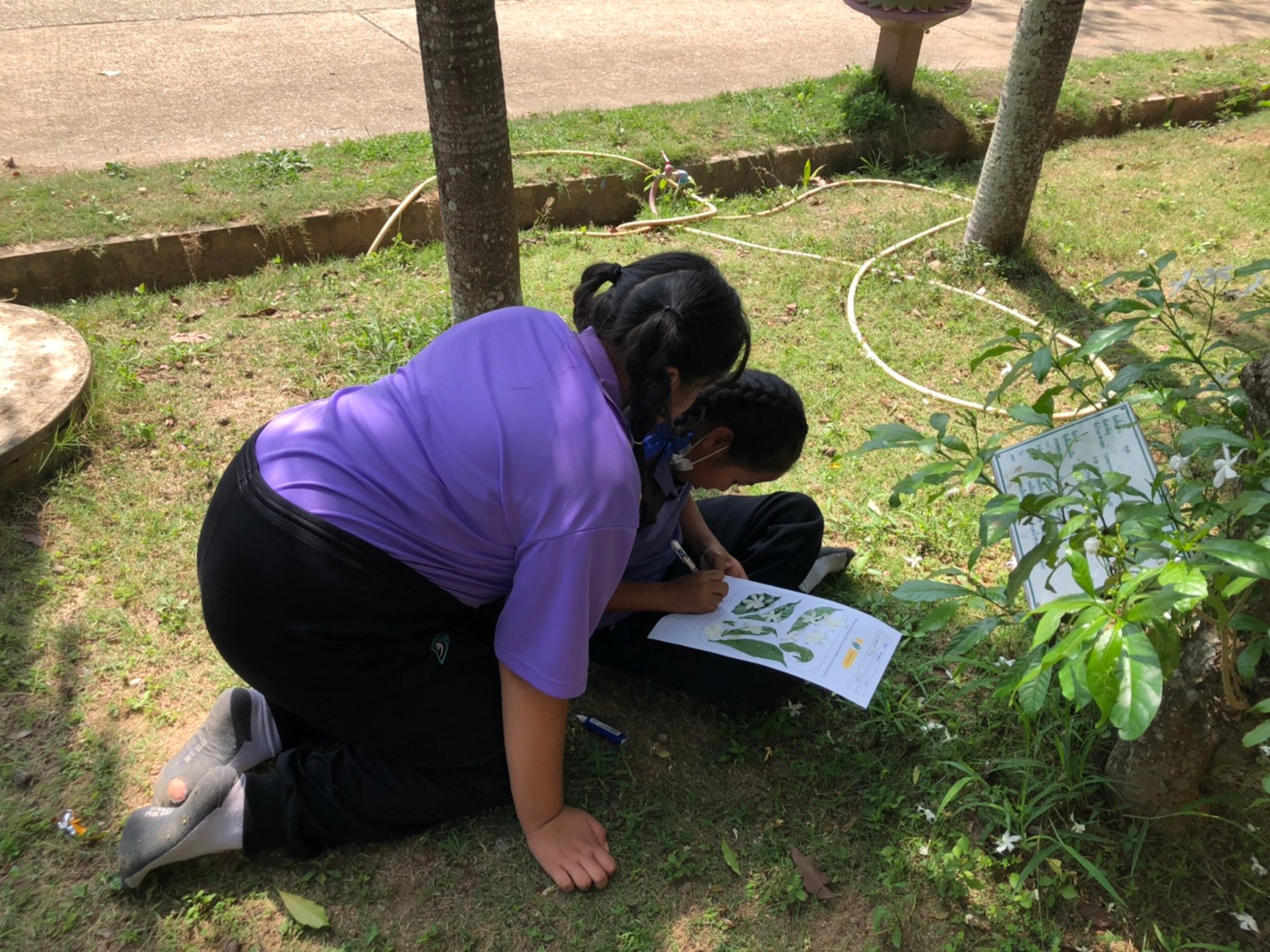title - การจัดฝึกอบรมโครงการอนุรักษ์พันธุกรรมพืชอันเนื่องมาจากพระราชดำริ สมเด็จพระเทพรัตนราชสุดาฯ สยามบรมราชกุมารี (อพ.สธ.) ปีงบประมาณ พ.ศ. 2565 